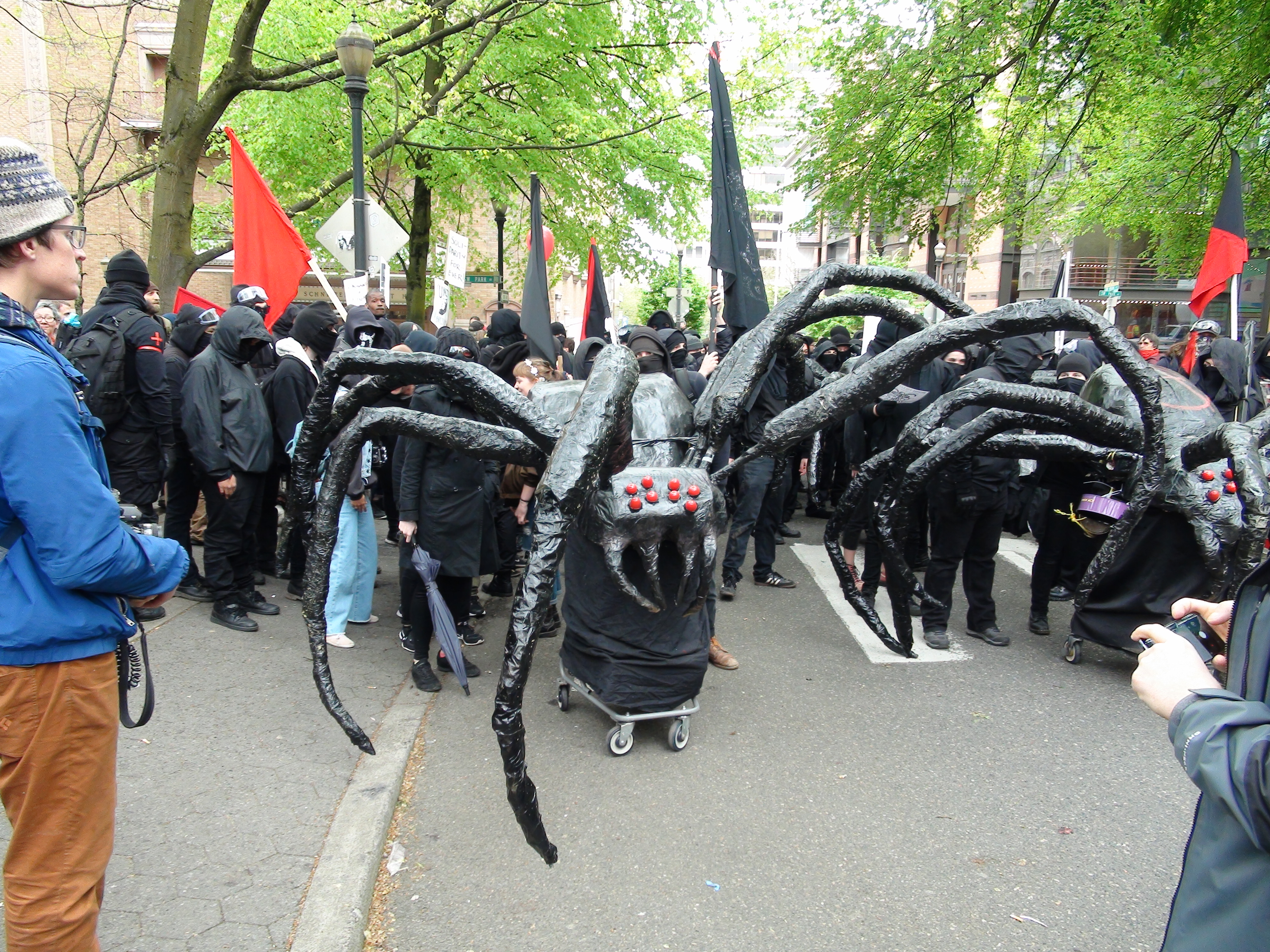 maydayspider.jpg