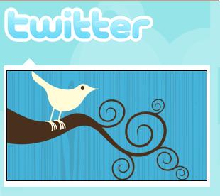 twitterlogo0duplicate.jpg